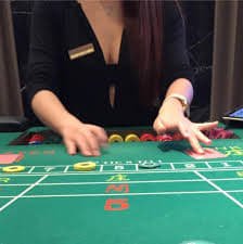 24bet